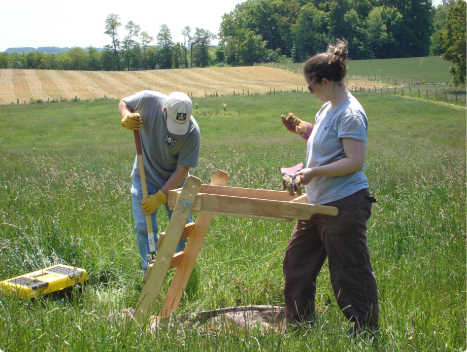 2026-02_Consulting-Gallery-13